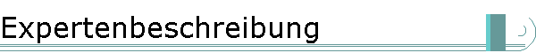 Expertenbeschreibung